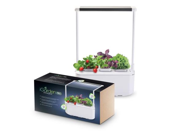 Компактный смарт-сад «iGarden PRO» с подсветкой