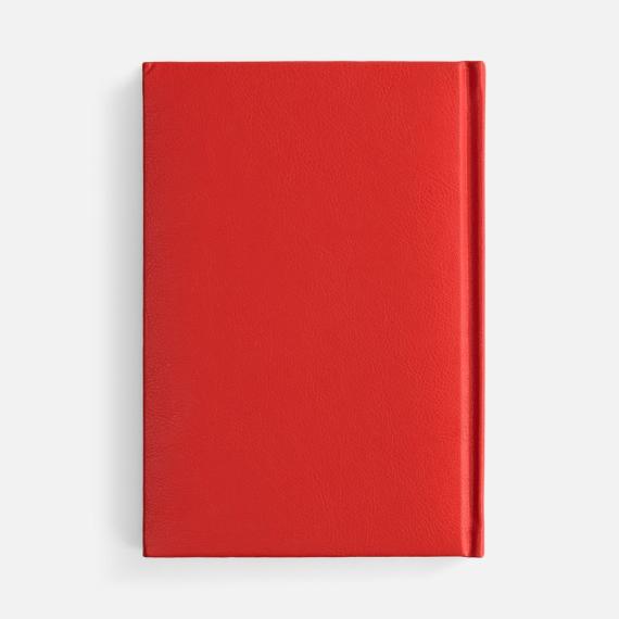 Ежедневник Baza, датированный, красный