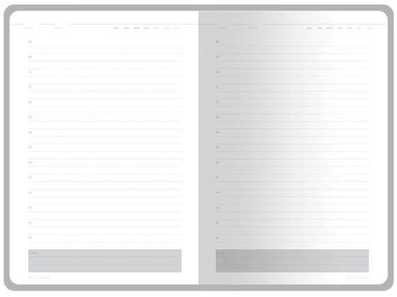 Ежедневник недатированный А5 «Mercury»