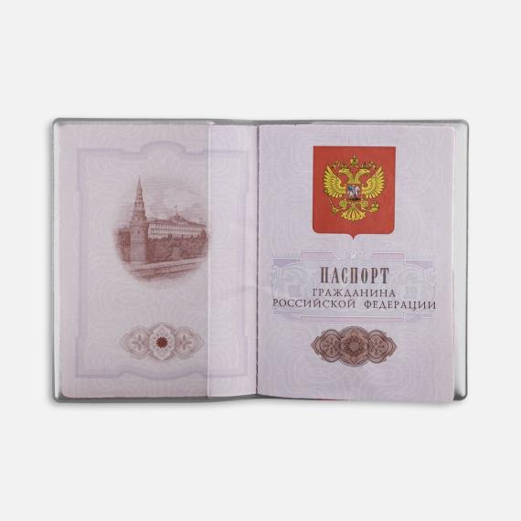 Обложка для паспорта Dorset, серая